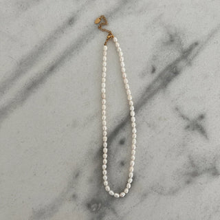Everyday Pearl Necklace