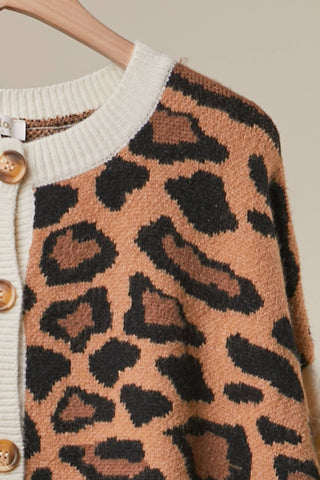 Bold Stripe and Leopard Cardigan