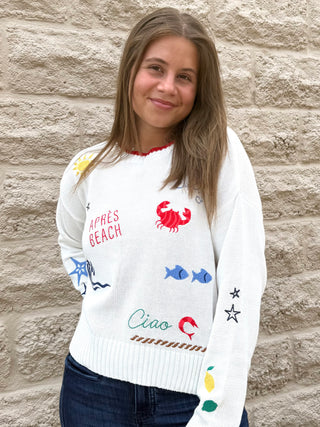 Seas The Day Sienna Sweater Multi by Z Supply