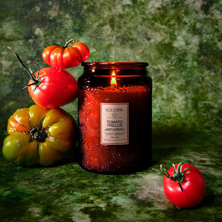 Tomato Trellis by Voluspa