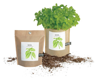 Garden in a Bag | Basil  | Gift idea for Cooks | Best Seller